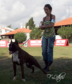 HYANNICK DA QUINTA DAS CAM&Eacute;LIAS