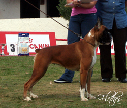 FENDI DA CASA DO FRANKINHO