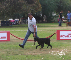 CATERINA DELLA GENS CLODIA