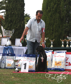 CATERINA DELLA GENS CLODIA