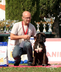 ADAMASTOR V H GEBIRGE