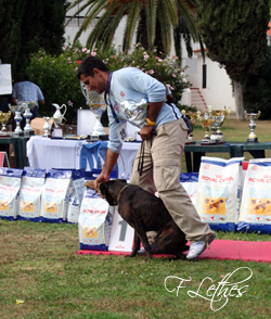 JODIE DA QUINTA DAS CAM&Eacute;LIAS