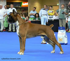 Edgar_del_Cabezo_la_Jara