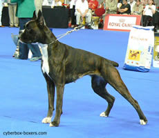 Evita_Von_DHigh_Quick