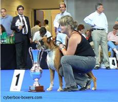 Immortal_Grace_de_Vilas_Boas.