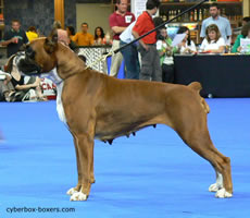 Kalinka_de_Encinarejo