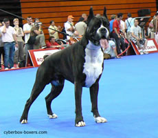 Tenzing_Des_Courtillieres