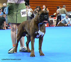 Thalio_des_Ze_des_Philoctete