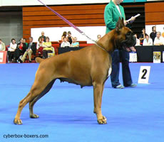 Tixena_des_Gorges_DHeric