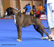 Ucayali_du_Parfum_des_Lavandes