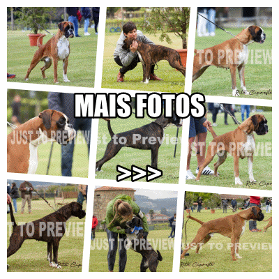 MAIS FOTOS>>>>>